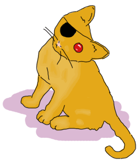 a cat with an eye patch